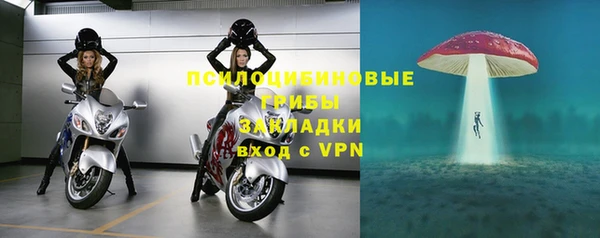 эйфоретик Баксан
