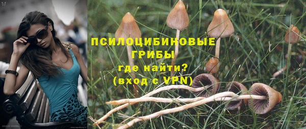 PSILOCYBIN Балахна