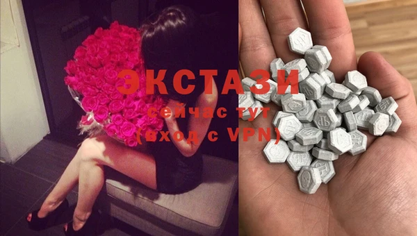 ECSTASY Белокуриха