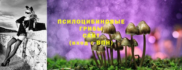 эйфоретик Баксан