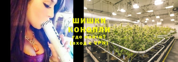 ECSTASY Белокуриха